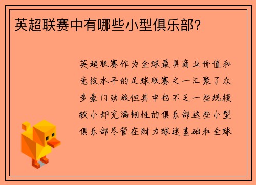 英超联赛中有哪些小型俱乐部？
